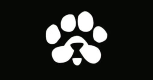 PAWS Binance Listing Update: Will $PAWS Go Live Before Pi Network?
